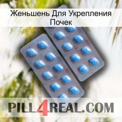 Женьшень Для Укрепления Почек viagra4